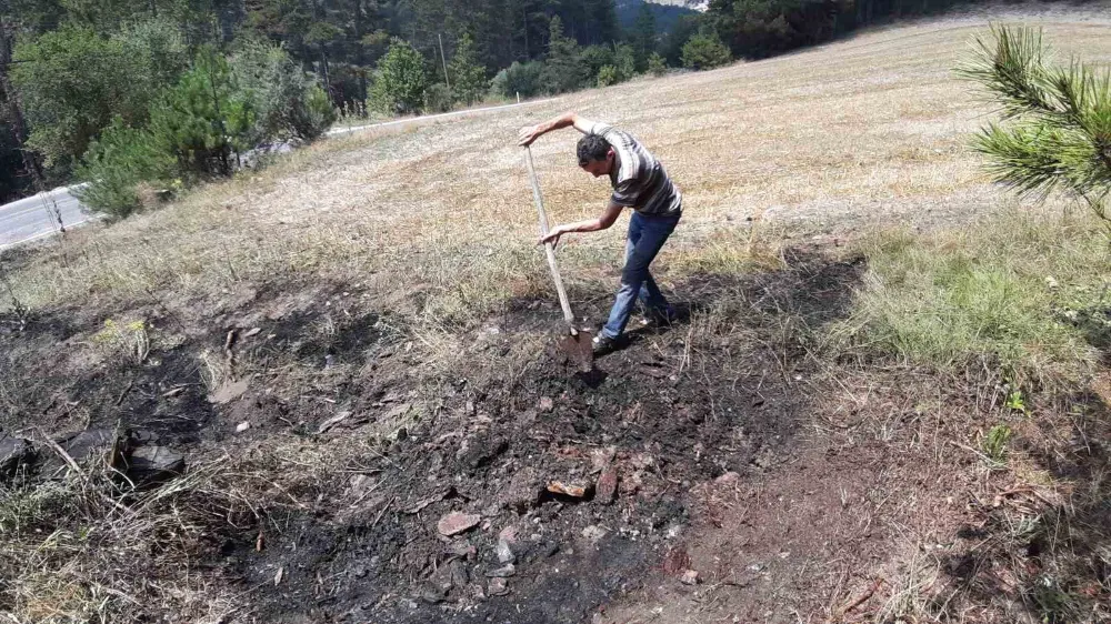 Yol kenarına atılan sigara yangın çıkardı