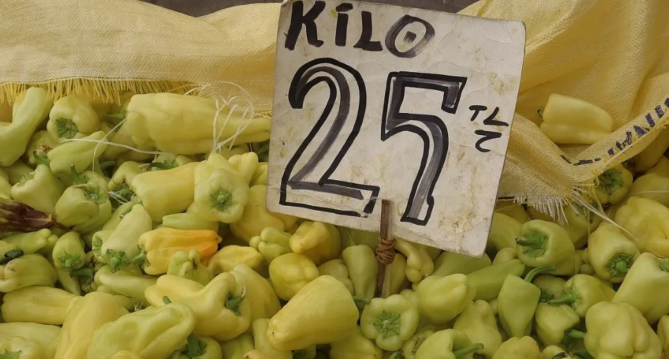 Erzincan’da yerli rüzgarı