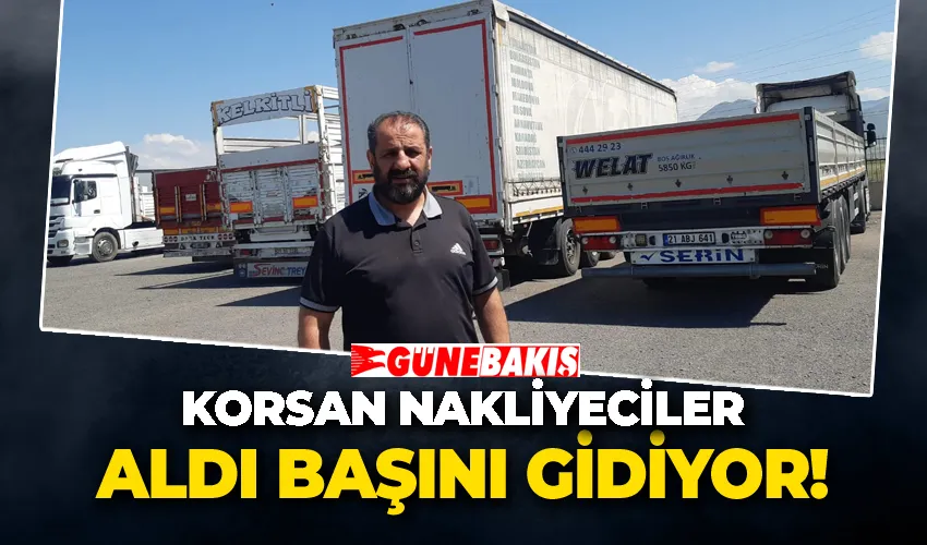 Korsan Nakliyeciler Aldı Başını Gidiyor!