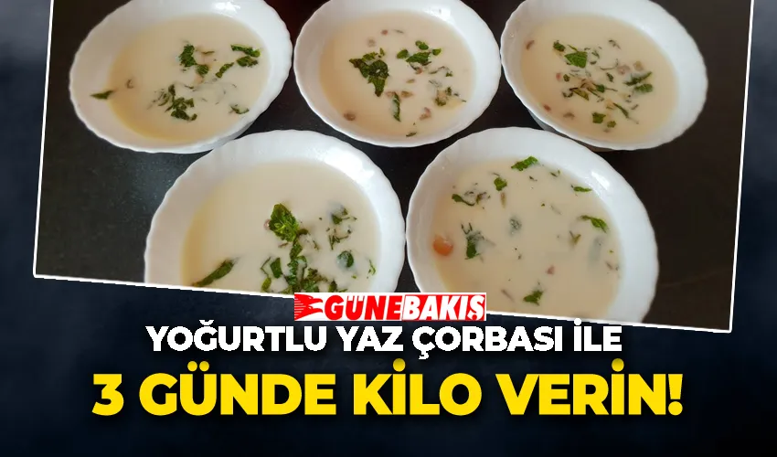 Yoğurtlu Yaz Çorbası ile 3 Günde Kilo Verin! 