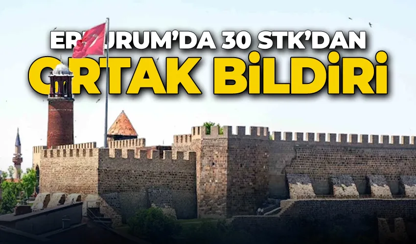 Erzurum’da 30 STK’dan ortak bildiri