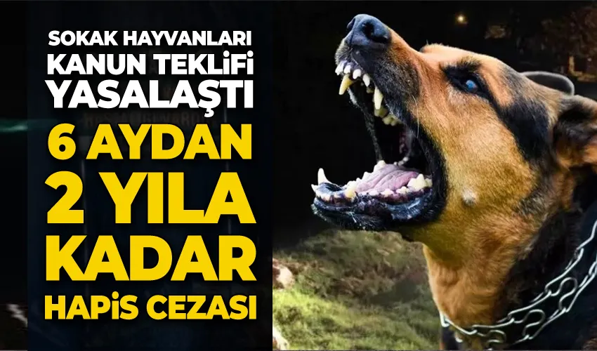Sahipsiz sokak hayvanlarına ilişkin kanun teklifi TBMM Genel Kurulu’nda kabul edildi