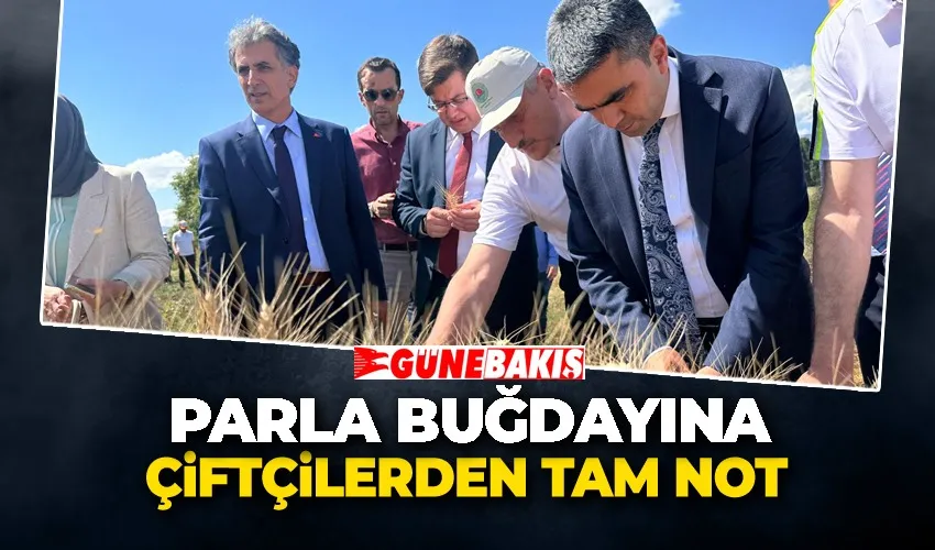 PARLA BUĞDAYINA ÇİFTÇİLERDEN TAM NOT