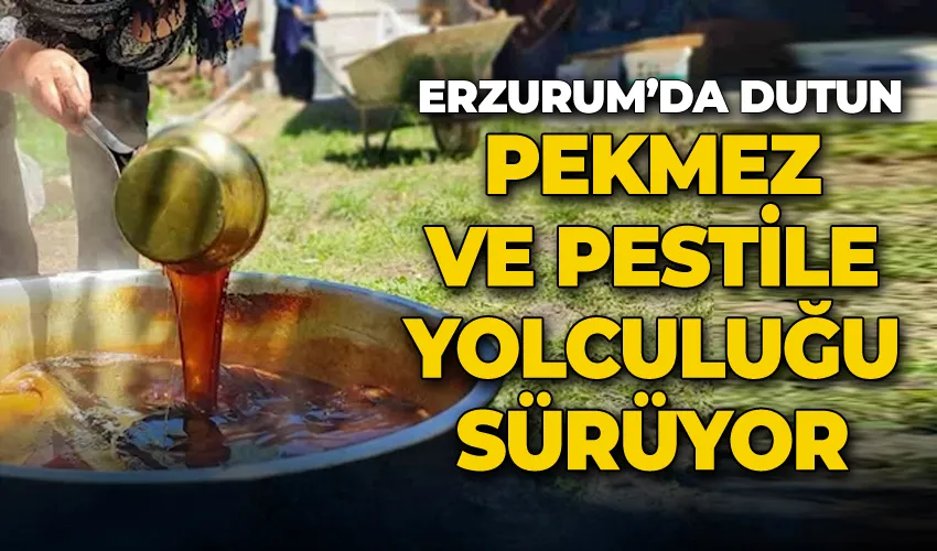 Erzurum’da dutun pekmez ve pestile yolculuğu sürüyor