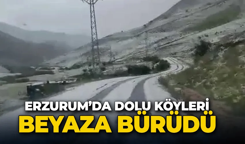 Erzurum’da dolu köyleri beyaza bürüdü