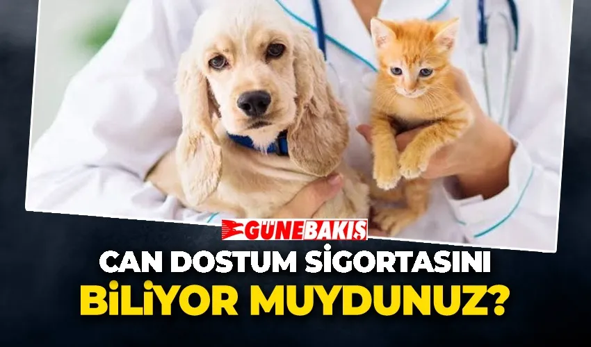 Can Dostum sigortasını biliyor muydunuz?