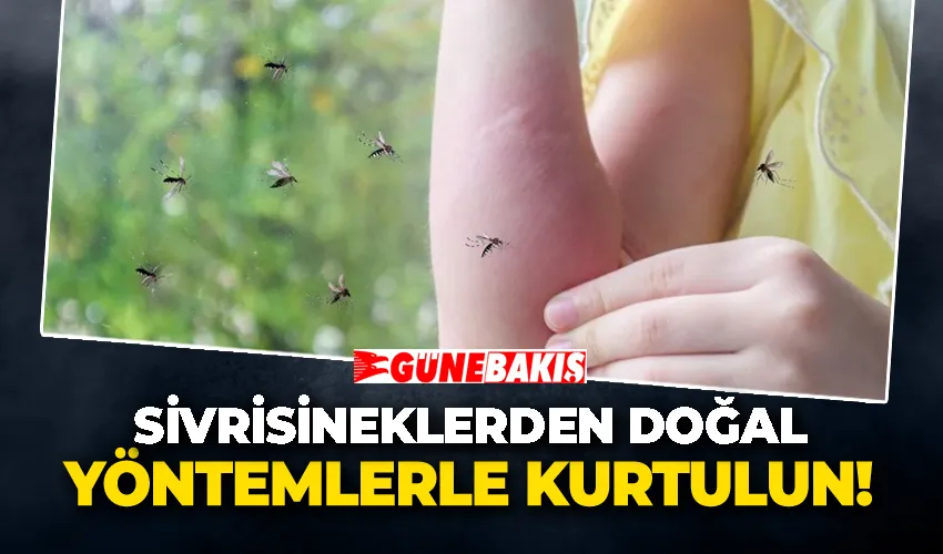 Sivrisineklerden Doğal Yöntemlerle Kurtulun!