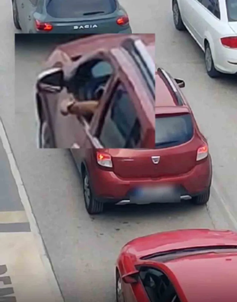 Çevreyi kirleten sürücülere 508 bin 896 lira ceza