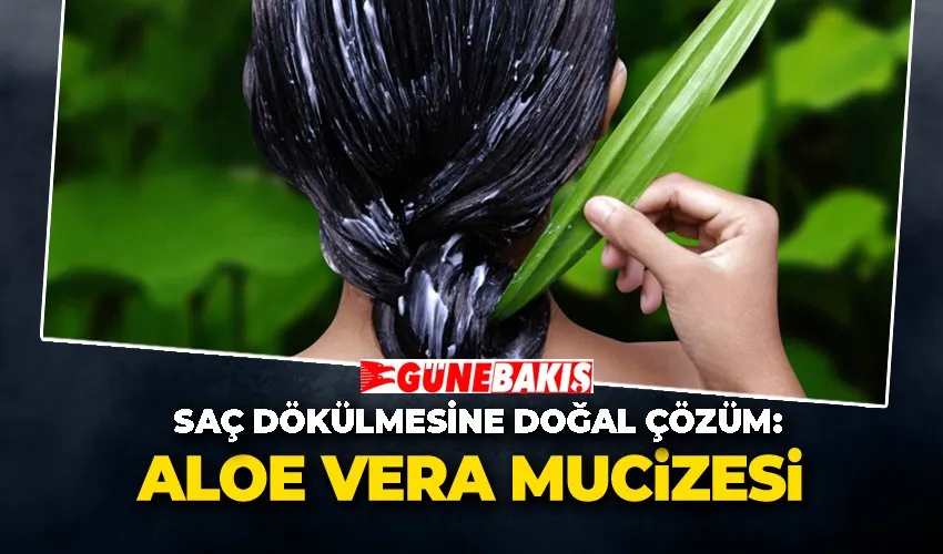 Saç Dökülmesine Doğal Çözüm: Aloe Vera Mucizesi