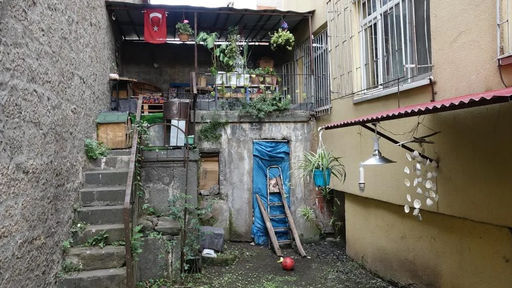 Evinin bahçesine sansar dadandı