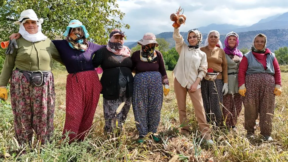 Önce hasat ettiler sonra halay çektiler