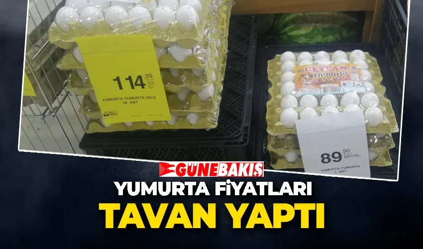 Yumurta Fiyatları Tavan Yaptı