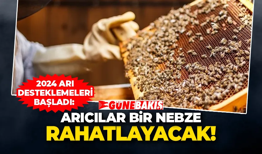 2024 Arı Desteklemeleri Başladı: Arıcılar Bir Nebze Rahatlayacak