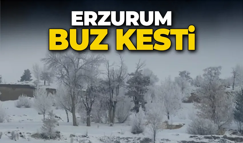 Erzurum buz kesti