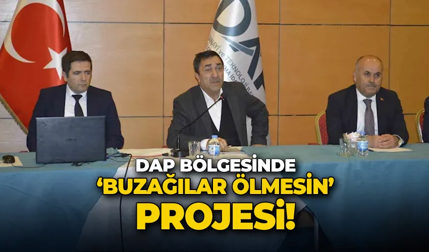 DAP bölgesinde, ‘buzağılar ölmesin’ projesi