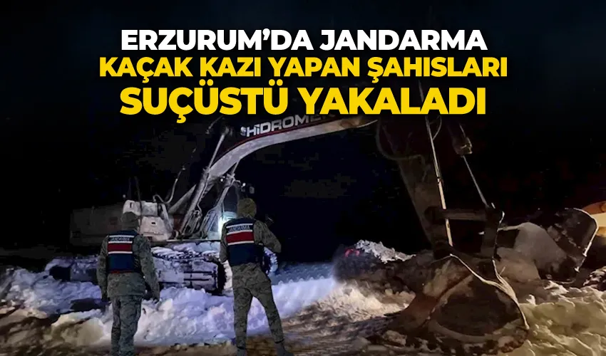 Jandarma kaçak kazı yapan şahısları suçüstü yakaladı