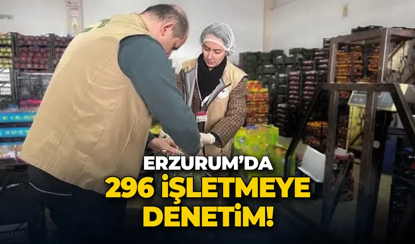 Erzurum’da 296 işletmeye denetim