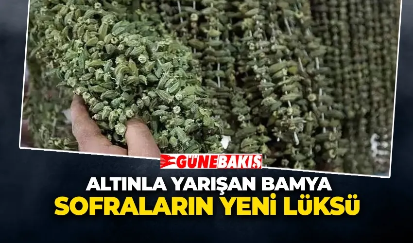 Altınla Yarışan Bamya: Sofraların Yeni Lüksü