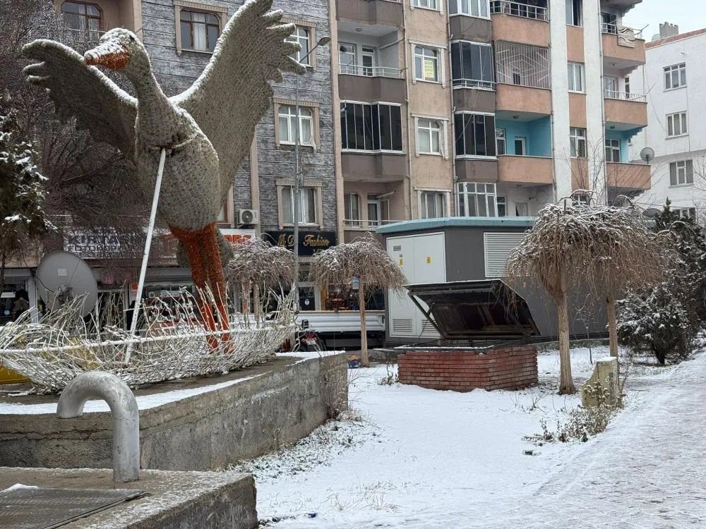 Iğdır şehir merkezine mevsimin ve yılın ilk karı yağdı