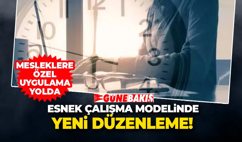 Esnek Çalışma Modelinde Yeni Düzenleme: Mesleklere Özel Uygulama Yolda