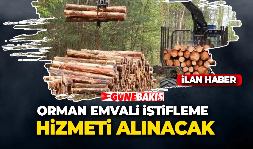 ORMAN EMVALİ İSTİFLEME HİZMETİ ALINACAK 