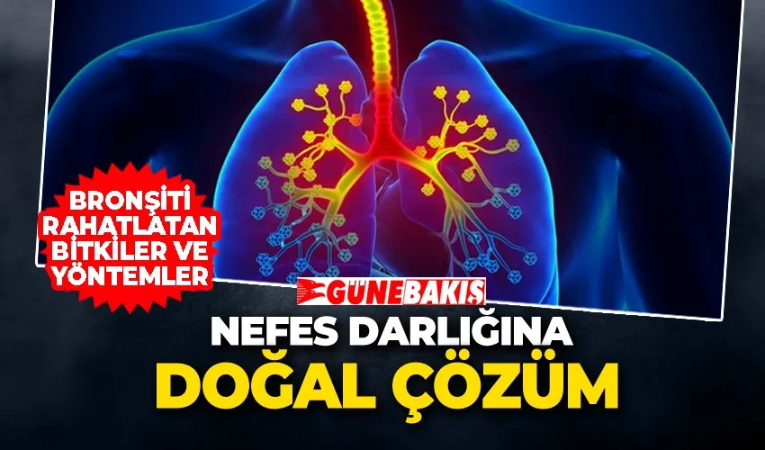 Nefes Darlığına Doğal Çözüm: Bronşiti Rahatlatan Bitkiler ve Yöntemler