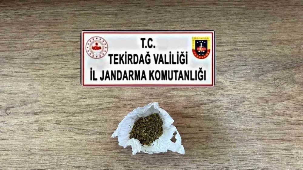 Tekirdağ’da uyuşturucu ve silah operasyonları