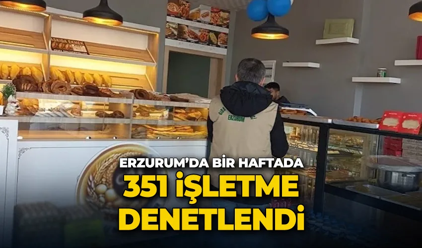 Bir haftada 351 işletme denetlendi