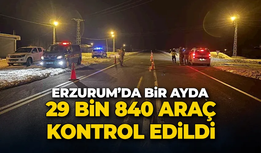 Bir ayda 29 bin 840 araç kontrol edildi