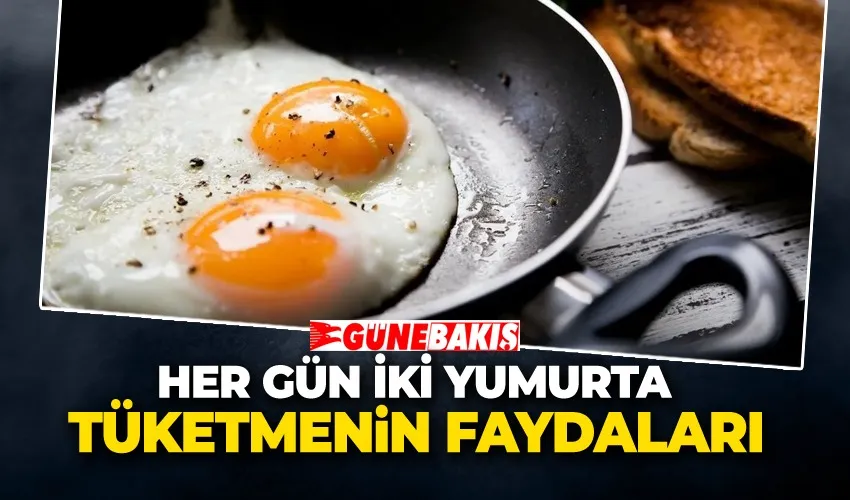 Her Gün İki Yumurta Tüketmenin Faydaları