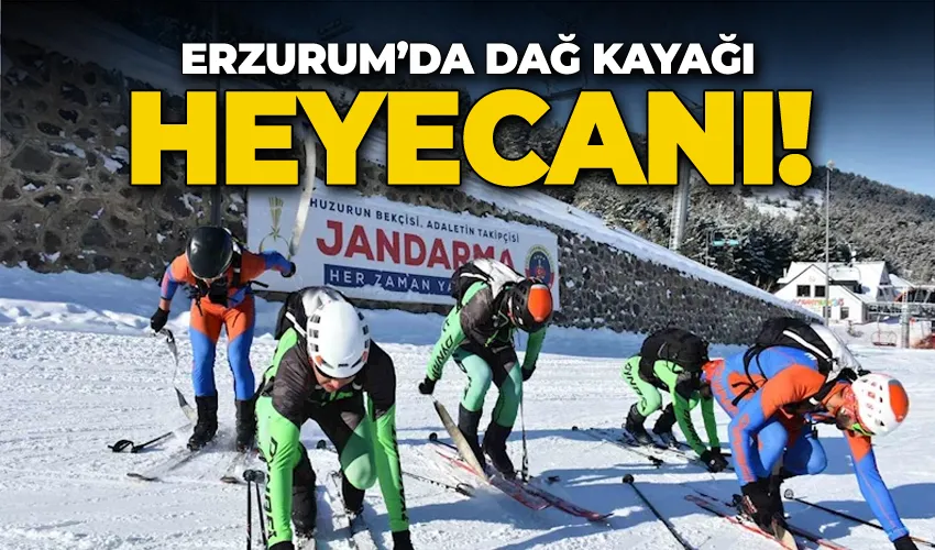 Dağ kayağı heyecanı