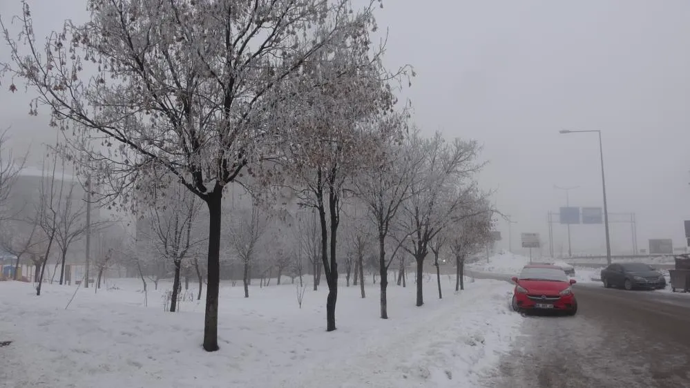 Bitlis’te sis ve dondurucu soğuklar