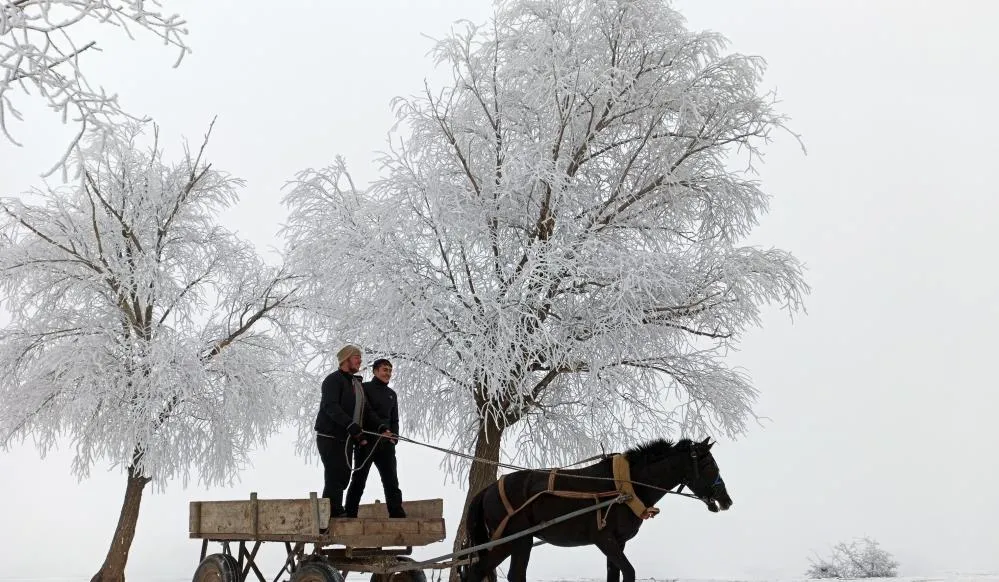 Erzincan’ın Otlukbeli ilçesi buz tuttu!