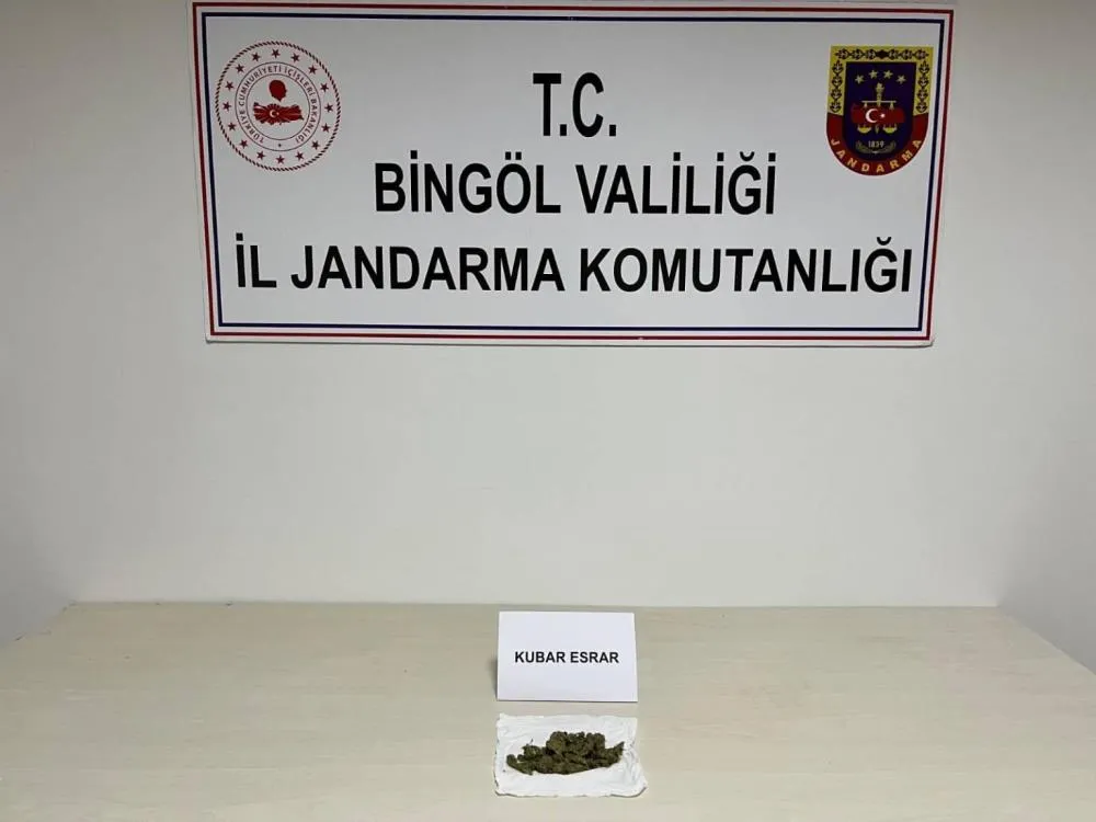 Bingöl’de araması bulunan 2 kişi yakalandı