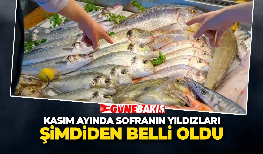 Kasım Ayında Sofranın Yıldızları Şimdiden Belli Oldu
