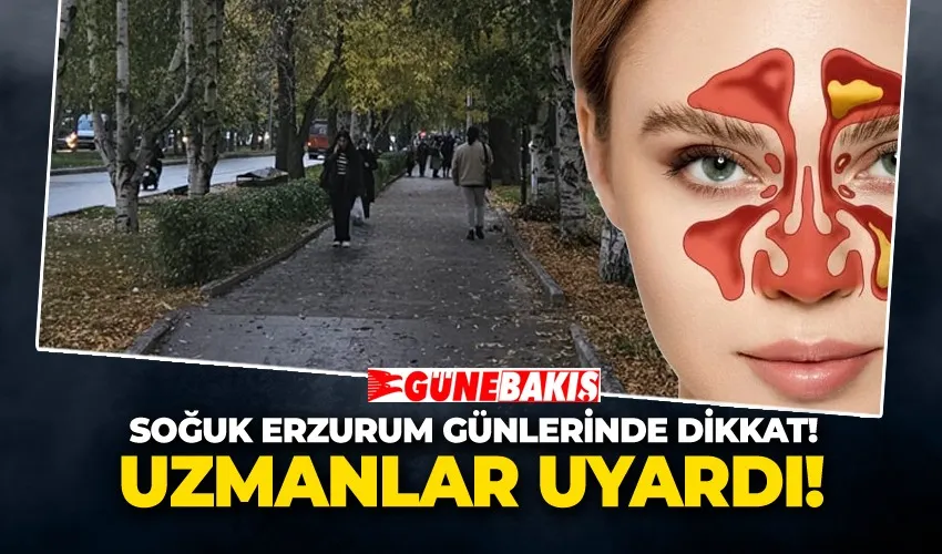 Soğuk Erzurum Günlerinde Dikkat!  Uzmanlar Uyardı! 