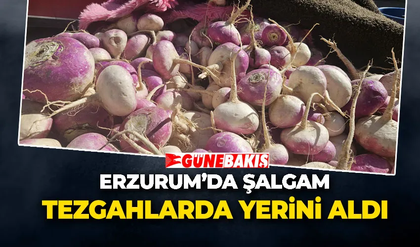 ERZURUM’DA ŞALGAM TEZGAHLARDA YERİNİ ALDI
