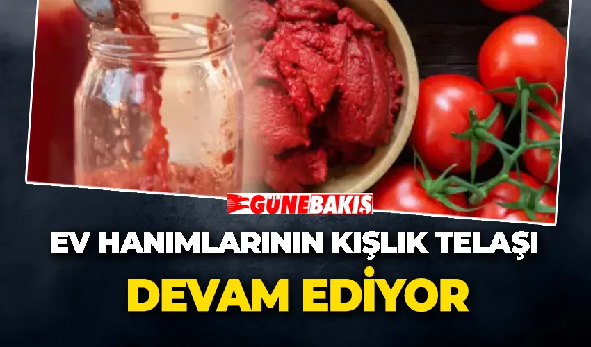 Ev Hanımlarının Kışlık Telaşı Devam Ediyor