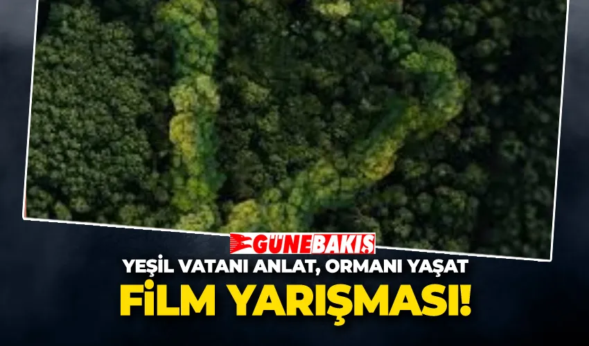 Yeşil Vatanı Anlat, Ormanı Yaşat Film Yarışması 