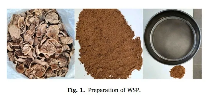 MTÜ’den ceviz kabuğundan asfalt üretiminde çevreci yenilik