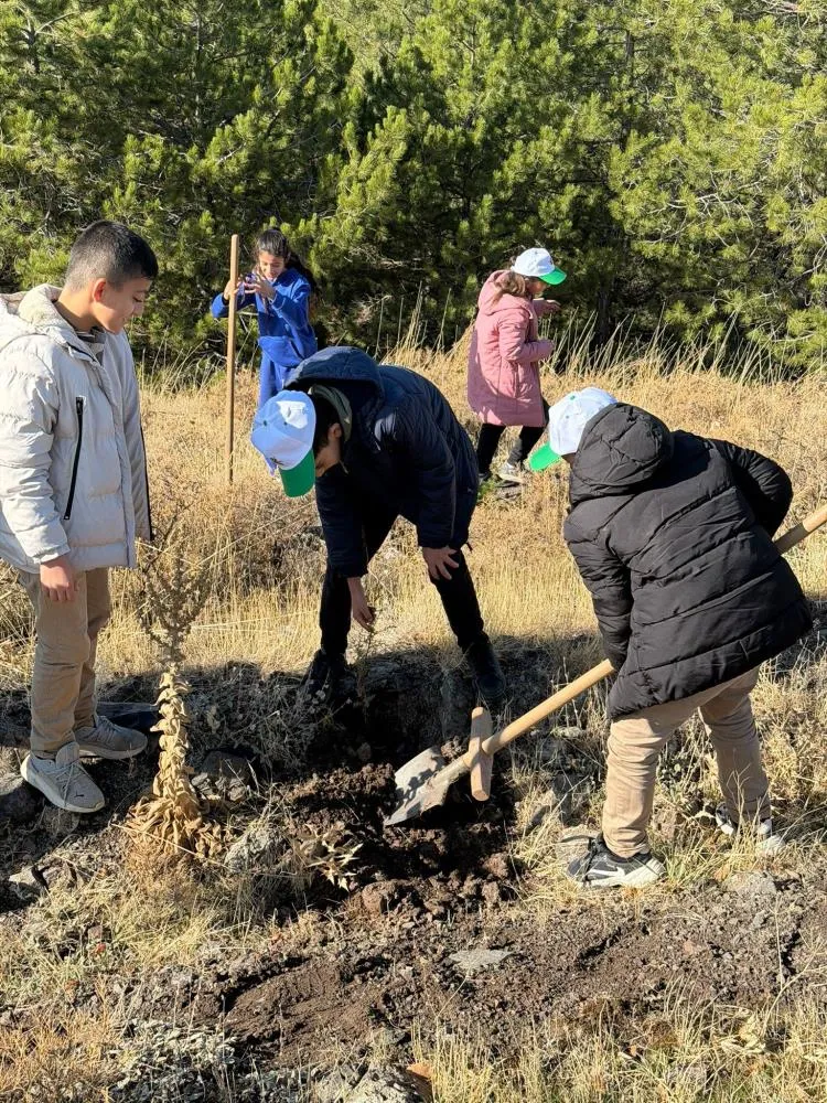 Sivrice’de fidan dikme etkinliği düzenlendi