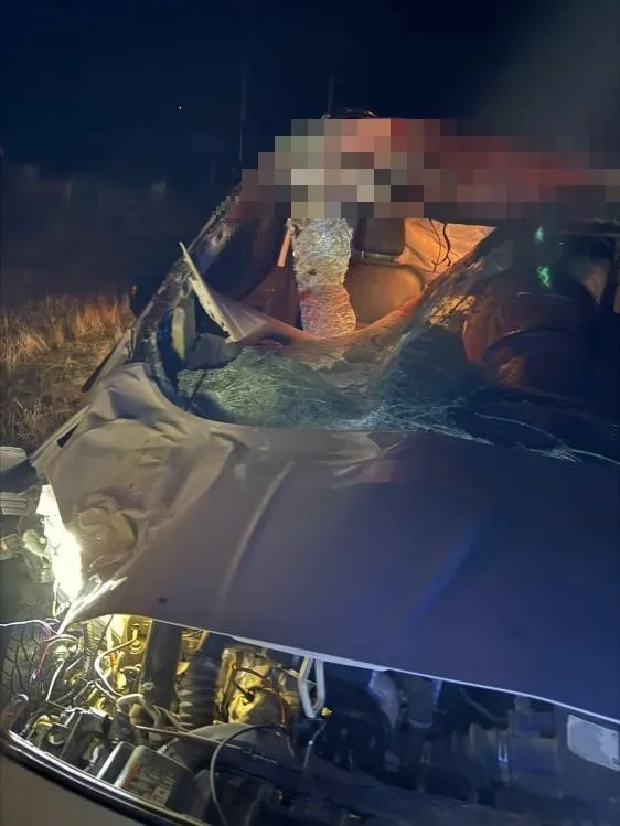 Muş’ta hafif ticari araç ata çarptı; 2 yaralı