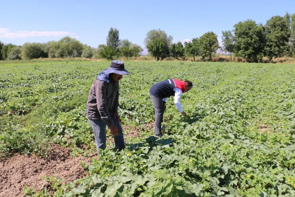 ÇKS başvuruları 31 Aralık’ta sona eriyor