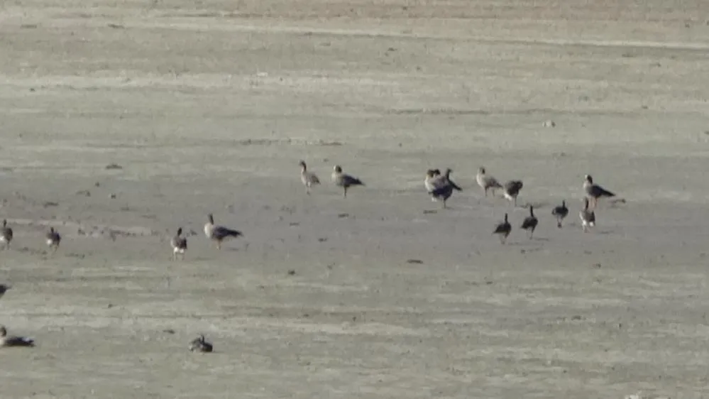 Zorlu göçün durağı Erçek Gölü