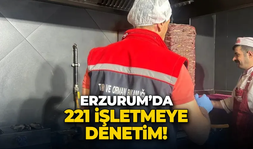 Erzurum’da 221 işletmeye denetim