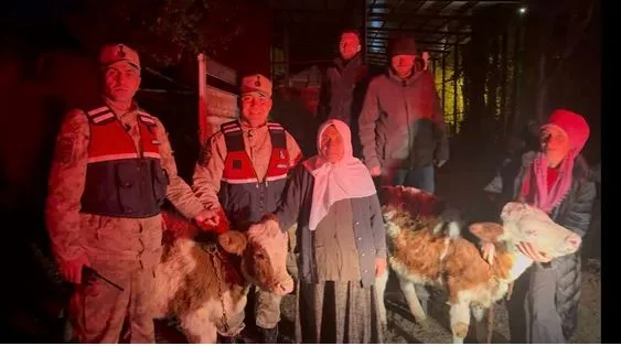 Jandarma çalınan hayvanları sahibine teslim etti
