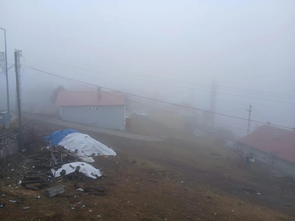 Posof’ta yoğun sis etkiliyor oluyor
