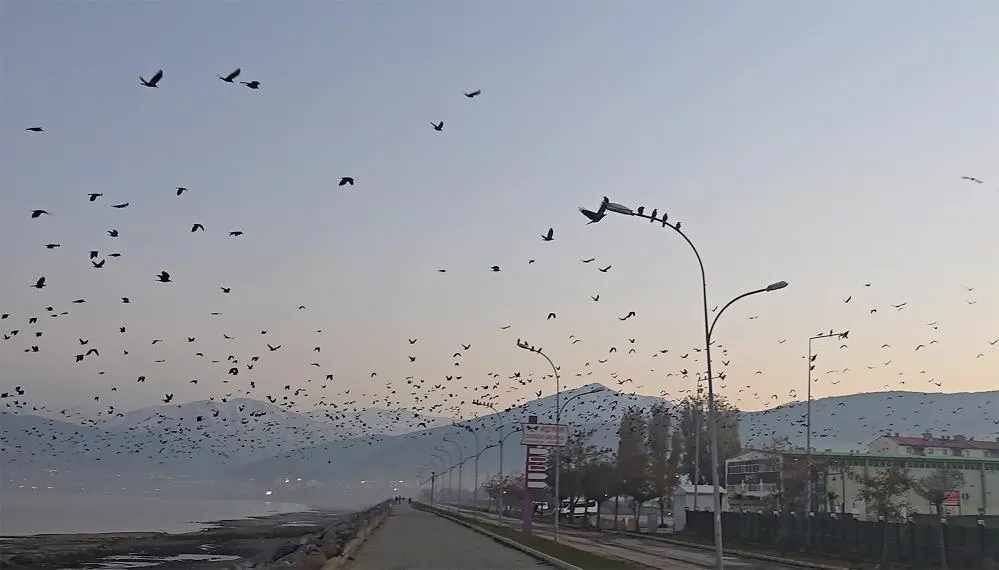 Tatvan sahilinde gökyüzünde sıra dışı manzara