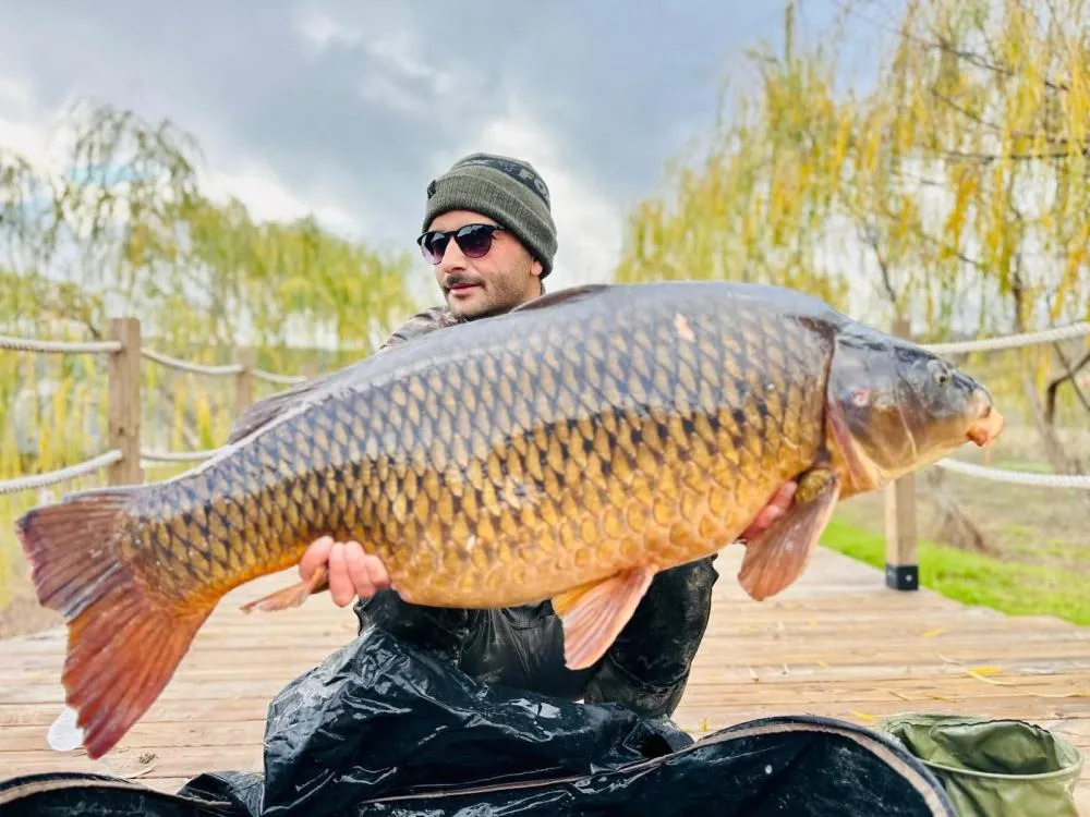 Yakaladıkları dev gibi sazan balığını suya geri bıraktılar