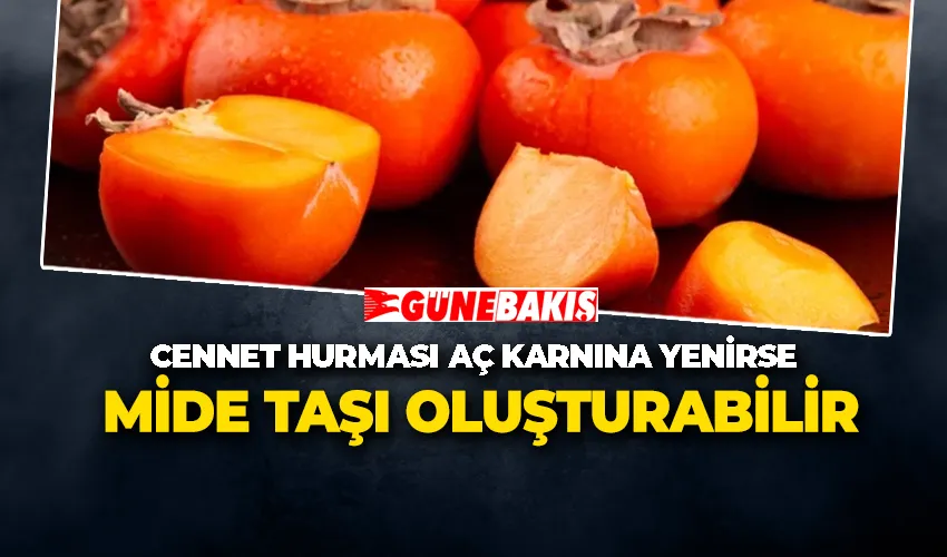 Cennet Hurması Aç Karnına Yenirse Mide Taşı Oluşturabilir